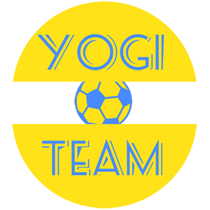 yogi team
