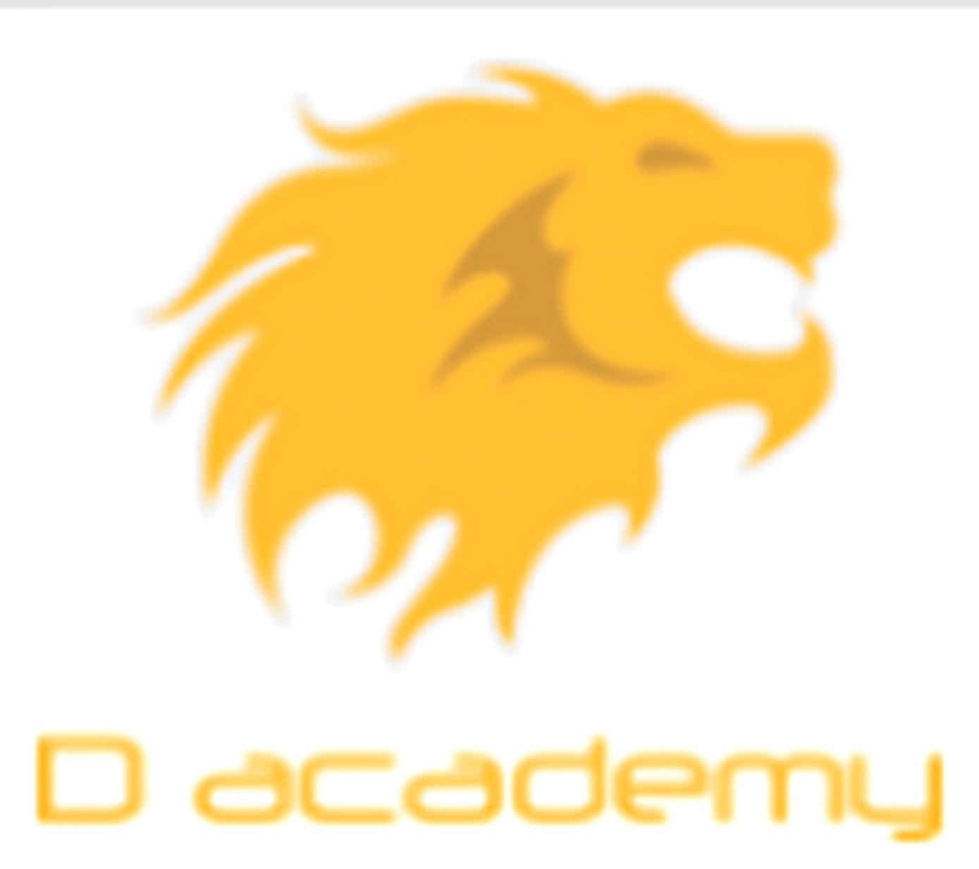 D academy
